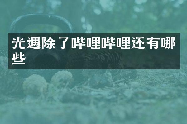 光遇除了哔哩哔哩还有哪些