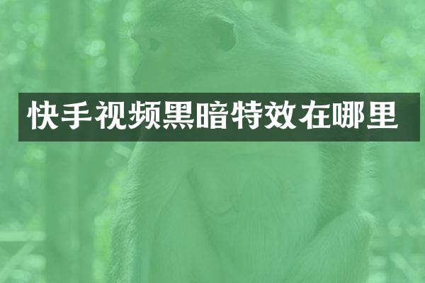 快手视频黑暗特效在哪里