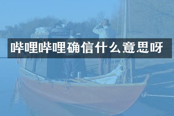 哔哩哔哩确信什么意思呀