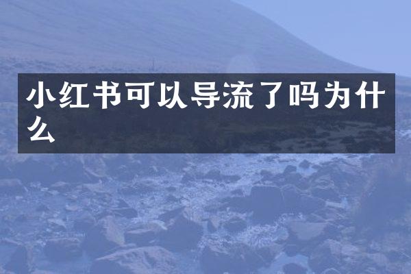 小红书可以导流了吗为什么