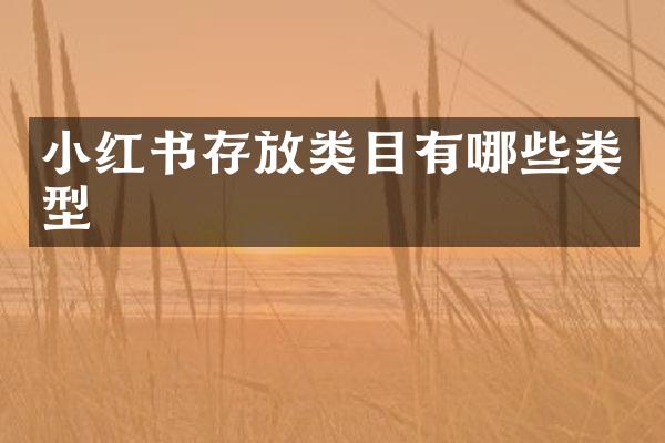 小红书存放类目有哪些类型