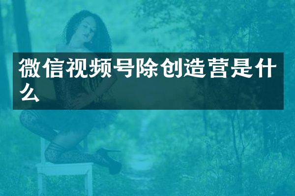 微信视频号除创造营是什么
