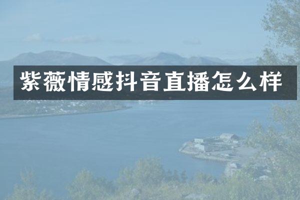 紫薇情感抖音直播怎么样