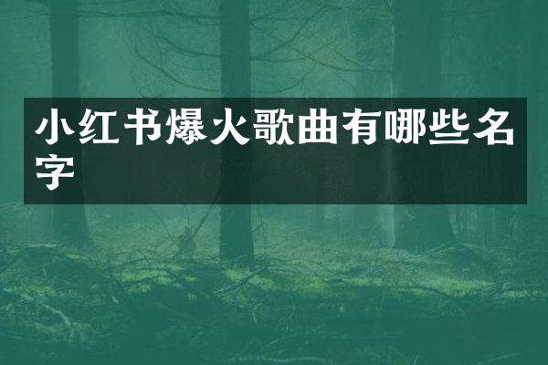 小红书爆火歌曲有哪些名字