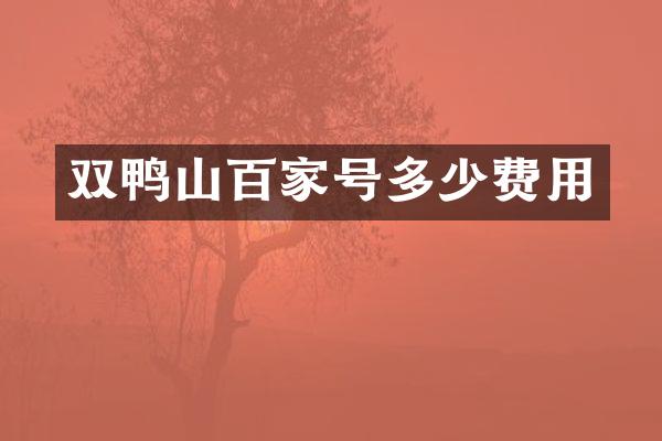 双鸭山百家号多少费用