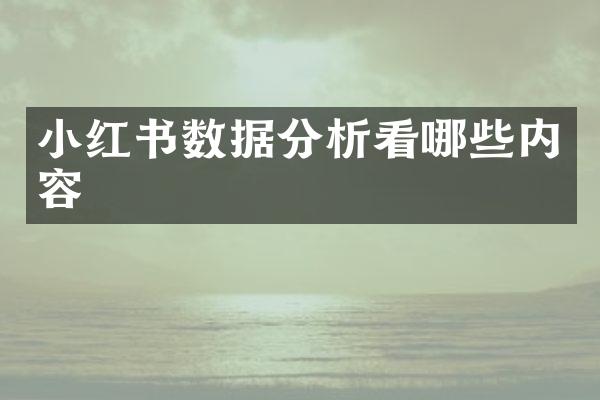 小红书数据分析看哪些内容