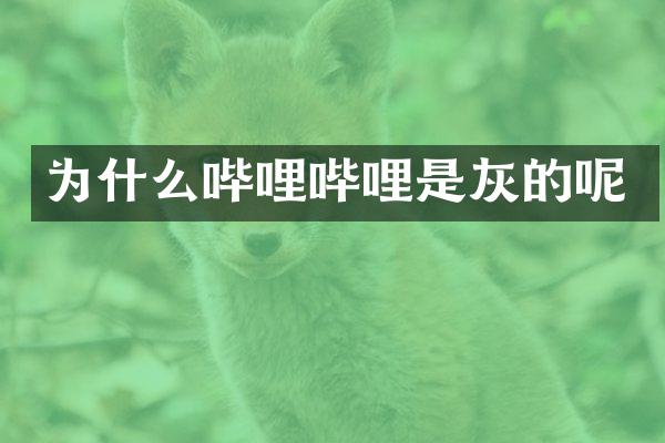 为什么哔哩哔哩是灰的呢