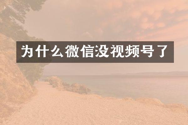为什么微信没视频号了