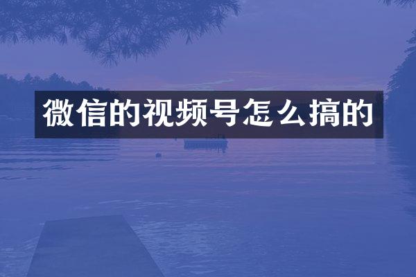 微信的视频号怎么搞的