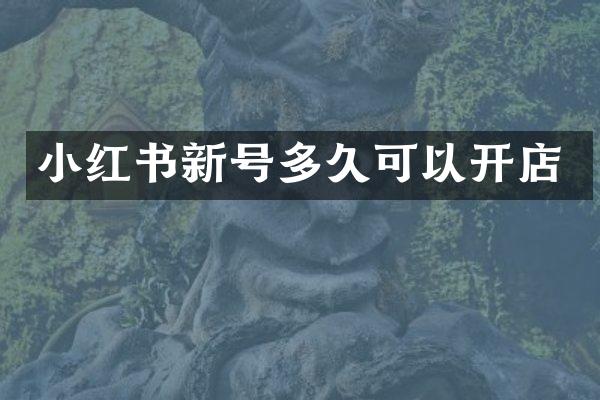 小红书新号多久可以开店