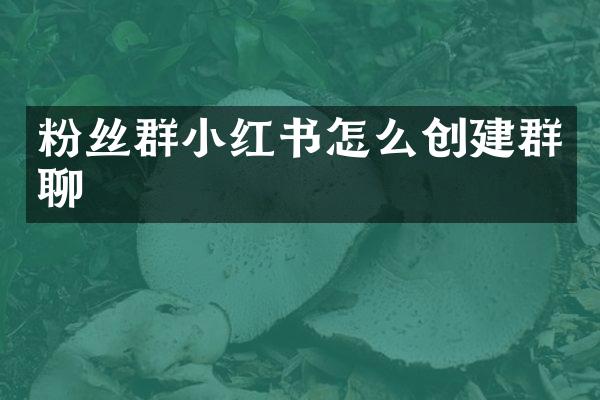 粉丝群小红书怎么创建群聊