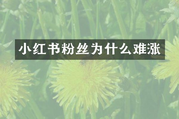 小红书粉丝为什么难涨
