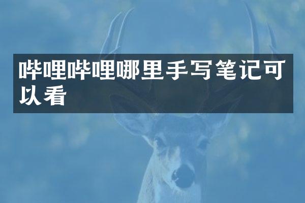 哔哩哔哩哪里手写笔记可以看