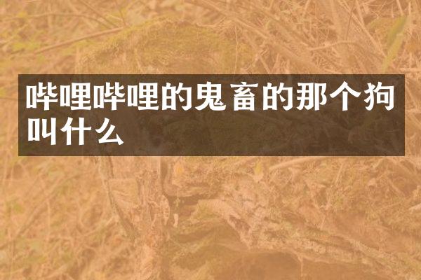 哔哩哔哩的鬼畜的那个狗叫什么