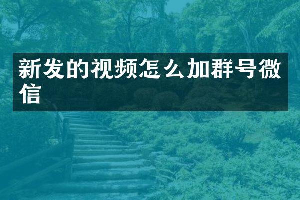 新发的视频怎么加群号微信