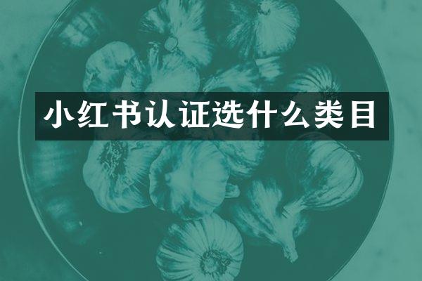 小红书认证选什么类目