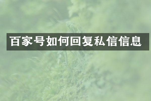 百家号如何回复私信信息