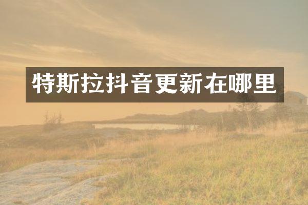 特斯拉抖音更新在哪里