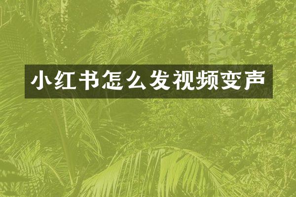 小红书怎么发视频变声