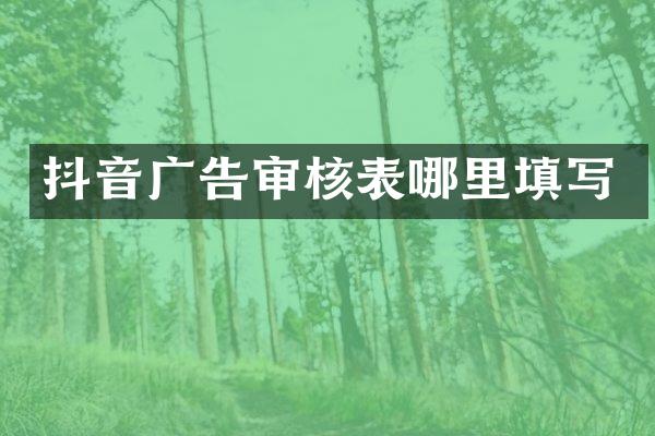 抖音广告审核表哪里填写