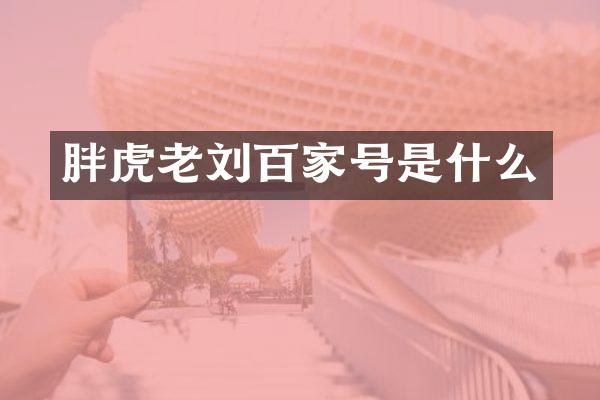 胖虎老刘百家号是什么