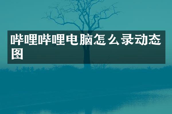 哔哩哔哩电脑怎么录动态图
