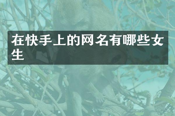 在快手上的网名有哪些女生