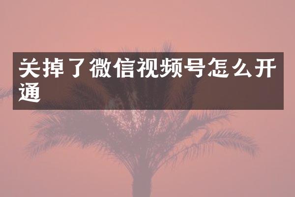 关掉了微信视频号怎么开通