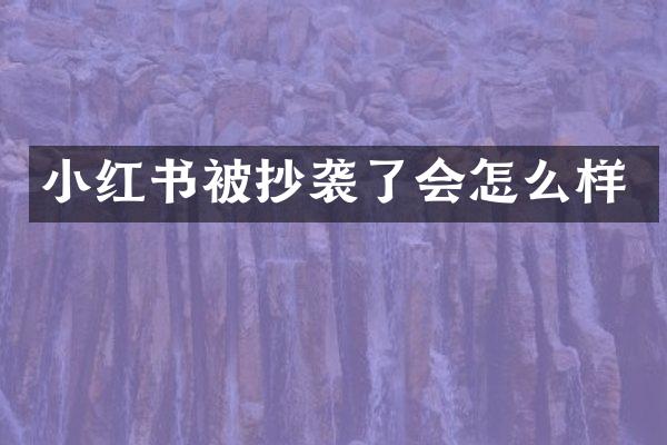 小红书被抄袭了会怎么样