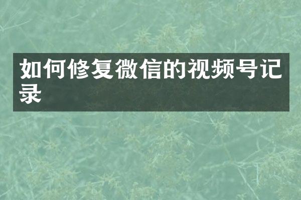 如何修复微信的视频号记录