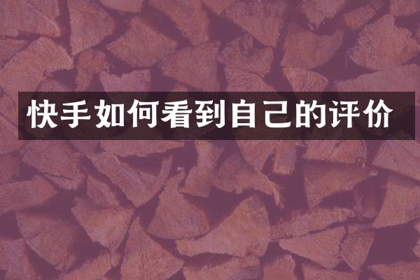 快手如何看到自己的评价