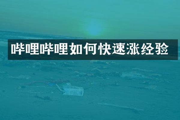 哔哩哔哩如何快速涨经验