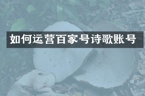 如何运营百家号诗歌账号