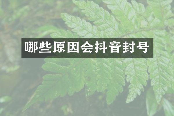 哪些原因会抖音封号