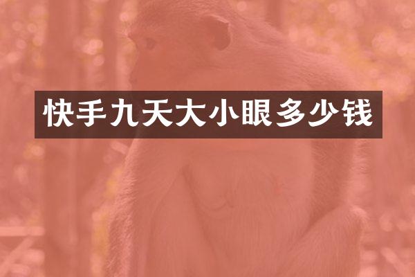 快手九天大小眼多少钱
