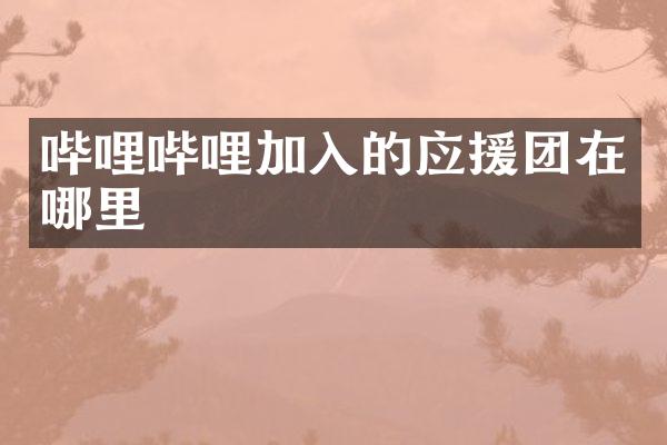 哔哩哔哩加入的应援团在哪里