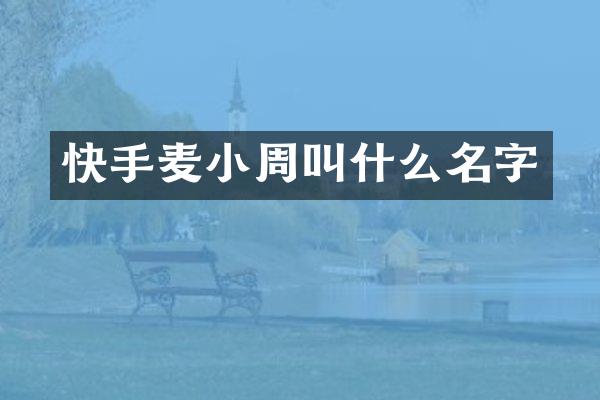 快手麦小周叫什么名字
