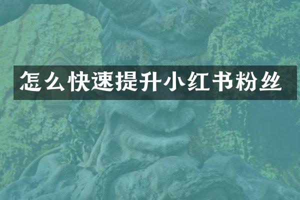 怎么快速提升小红书粉丝