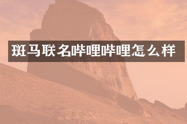 斑马联名哔哩哔哩怎么样