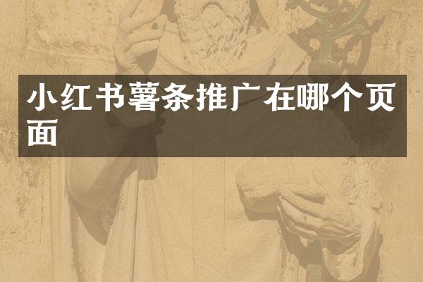 小红书薯条推广在哪个页面