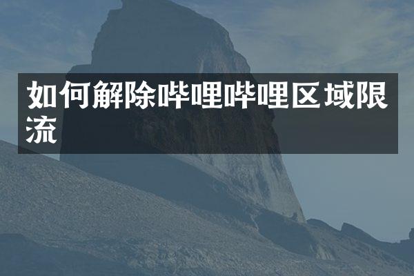 如何解除哔哩哔哩区域限流