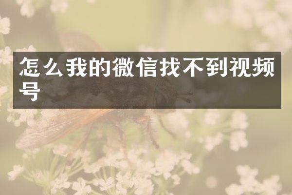 怎么我的微信找不到视频号