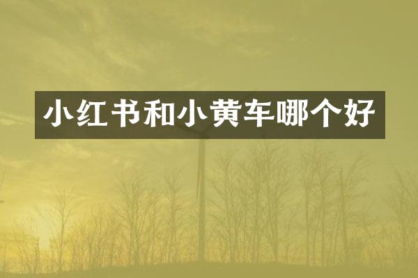 小红书和小黄车哪个好