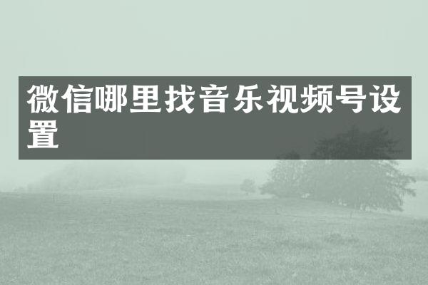 微信哪里找音乐视频号设置