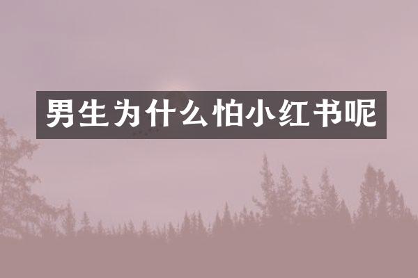 男生为什么怕小红书呢