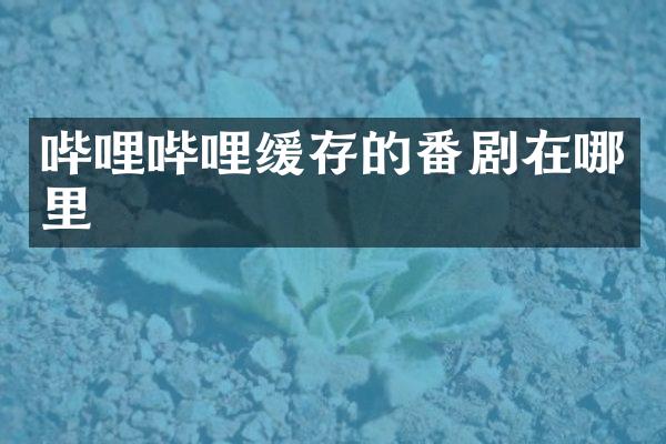 哔哩哔哩缓存的番剧在哪里
