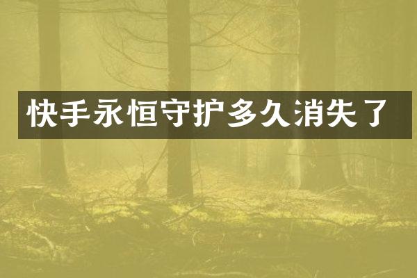 快手永恒守护多久消失了