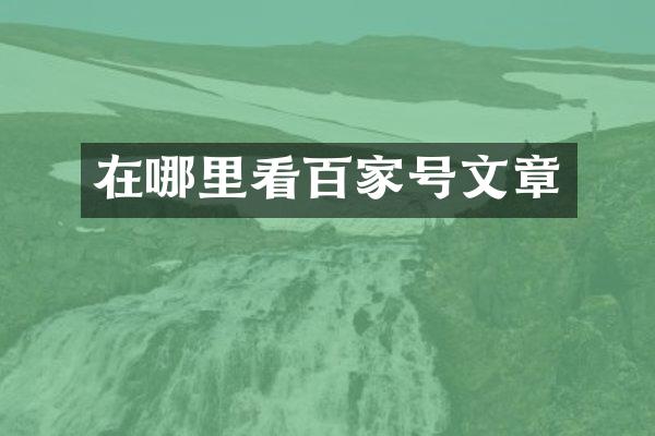 在哪里看百家号文章