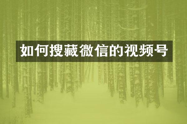 如何搜藏微信的视频号