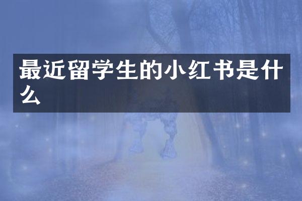 最近留学生的小红书是什么